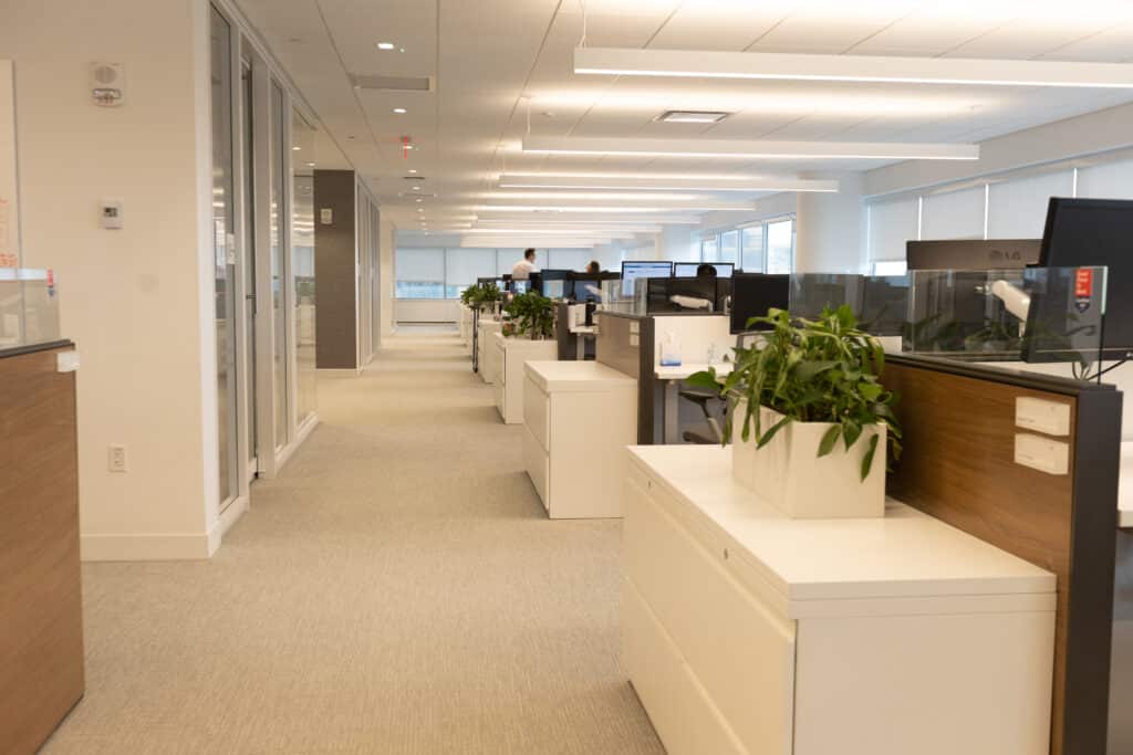 Bright open-plan office space with cubicles, potted plants, and natural light from large windows